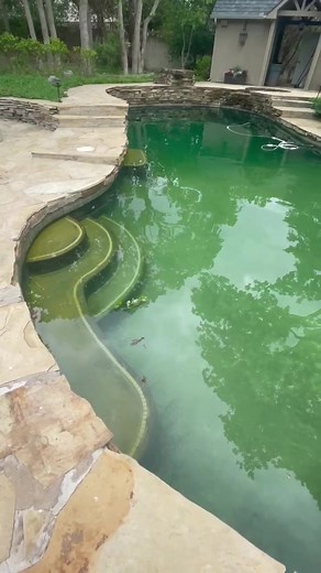 #poolsharks #poolboy