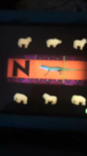 Sesame Street N is for Newt