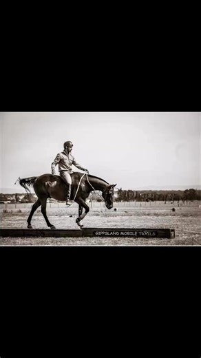 2.4K views · 27 reactions | Gippsland Super Horse Challenge entries will open 1st December. Numbers are capped, first in best dressed. Follow the page for more info  | Gippsland Super Horse Challenge | Facebook