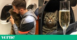Víktor, el "gato gordo" viajero que se ha convertido en un fenómeno en Rusia