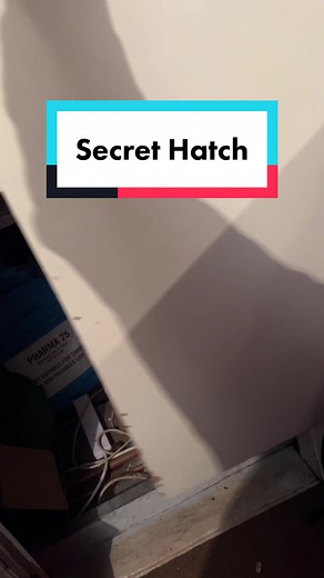What’s hiding in this box? #thebrickbox #brickbox #brickboxyorkshire #imaginationwarrior #legobuilder #legofun #lego #legocollector #legocollection #collectibles #loft #attic #legofind #legoscore #afolcommunity #legofan