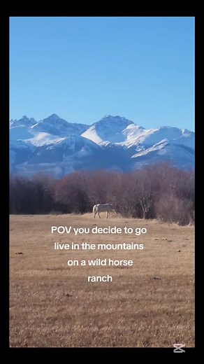 I flew across the country to come live off-grid in the mountains on a wild horse ranch.
