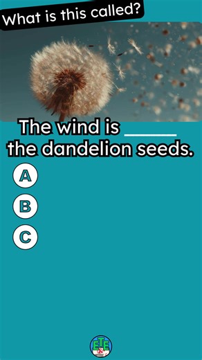 Nature and Weather Vocabulary Explained