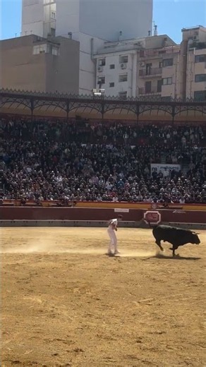 PERO Y ESTE SALTO? ESPECTACULAR 😍