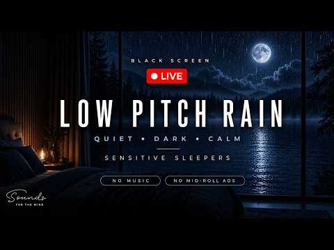 [No Ads] LIVE Low Pitch Quiet Autumn Night Rain Sound For Deep Sleep | No Music