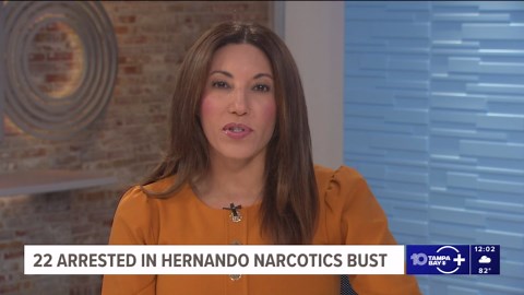 Sheriff: 22 arrested in 'highly organized' Hernando County drug trafficking, racketeering operation