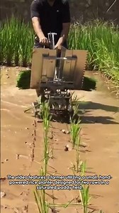 Two-Row Rice Planter: A Farmer's Tool