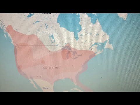 HF & VHF Propagation live maps.