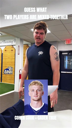 Creative Cat Hacks: A Little Too Effective!