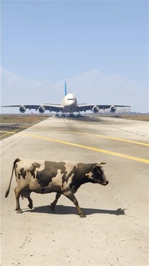 Crazy Cow Accidentally Comes Runway During Airbus Landing Gtav
