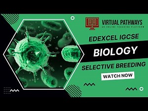 Selective Breeding | Edexcel IGCSE (9-1) Biology | Virtual Pathways