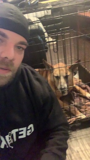 Dog Park Etiquette: Keeping Your Pup Safe and Happy