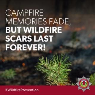 5.8K views · 16 reactions | Together, lets protect the breathtaking beauty of Scotland from wildfires! Share our channels to raise awareness for wildfire prevention:  Stay informed: Follow us for updates and safety tips.  Report any signs of wildfires immediately.  Practice fire safety: Extinguish campfires fully.  Educate others: Together, we can prevent wildfires | Scottish Fire and Rescue Service | Facebook