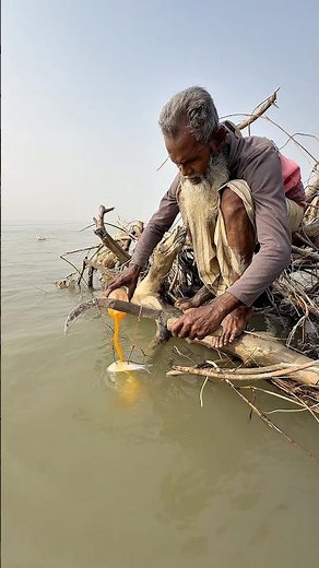 Amazing big fish catching method by hook traps #fishinglife #fishing