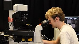 Advancement in nanotechnology for use in pharmacology | Britannica