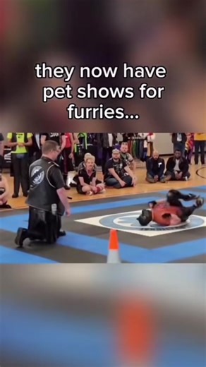 Explore Hilarious Cat Memes on TikTok