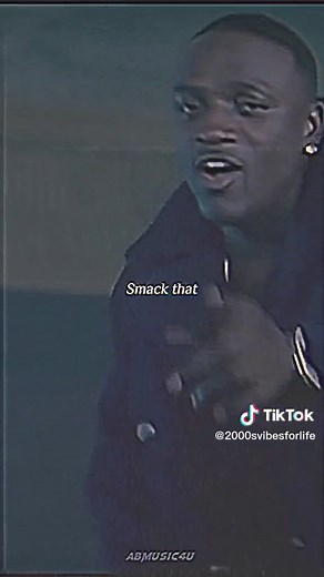 Smack That - Akon ft. Eminem [2006] Music Video Analysis