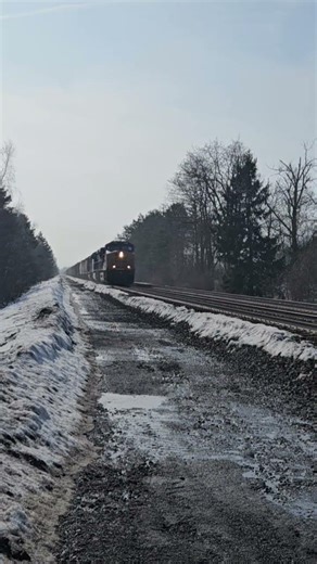 CSX train with SD40-3 trailing