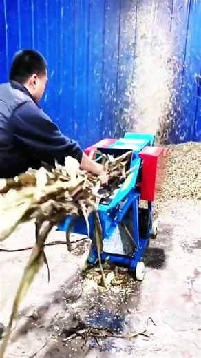 Silage chopper machine grass cutting machine for sale #fcnfm #farmmachine