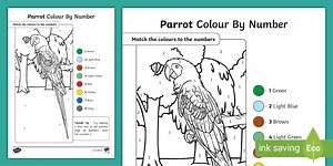 Parrot Colour-By-Number