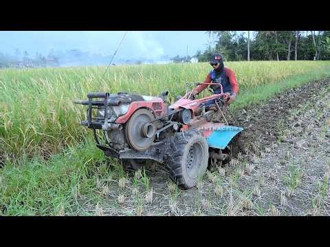 Power Tiller Hand Tractor Working on Wet Topsoil