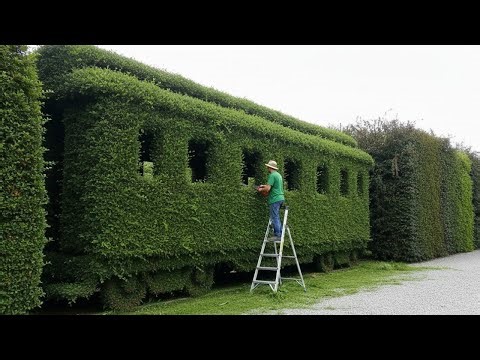 The Most Relaxing & Satisfying Gardening Work You'll Ever Watch! 🌿