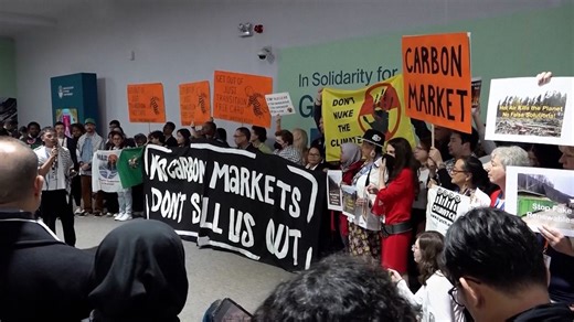Video. COP29 carbon credit debate sparks backlash from activists