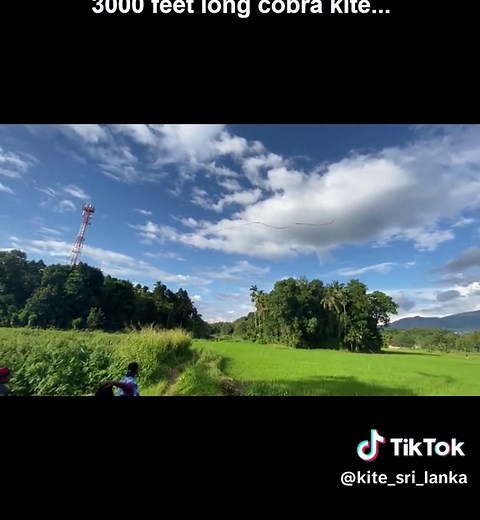 Kite Flying with the 3000 Feet Long Cobra Kite