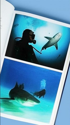The Shark Watcher's Manual: A Guide to Species and Where to Find Them