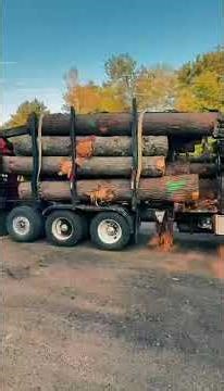 Professional Tree Service in Bedford, NH – Ready to Roll!