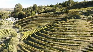 17K views · 194 reactions | Wherever you are in the world, join us in raising a glass of Sonoma County, CA's finest. Cheers 壟 | Visit California | Facebook