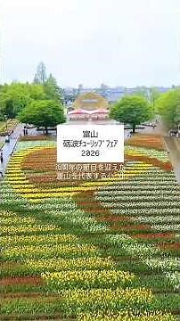 【🌷】#砺波チューリップフェア #富山県 #富山イベント #チューリップ #富山旅行