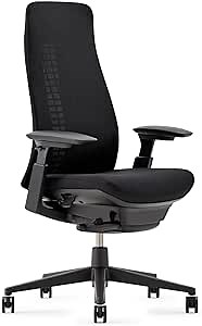 Haworth Fern Office Chair – Ergonomic and Stylish Desk Chair with Breathable Mesh Finish - with Lumbar Support (Coal)