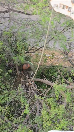 Safe. | Curacao Essentials