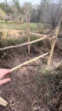 Building a duck blind