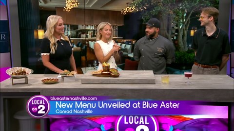 Blue Aster: New Menu