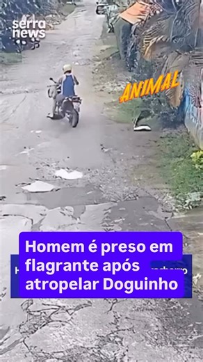 Paloma oficial on Instagram