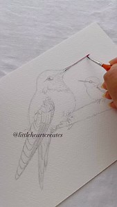 119K views · 18K reactions | Bird love!  The outline of this drawing is now a part of my Bird Painting Course! Please check out the Bonus lesson for my students who already joined the course.  Have a great day! Happy creating!! . . Color: @industriamaimeri Metallic watercolor: @skrim_watercolors . #color #watercolor #painting #illustration #illustrationartists #littleheartcreates #artist #aesthetic #aestheticedits #reelsinstagram #mindfulness | Littleheartcreates | Facebook