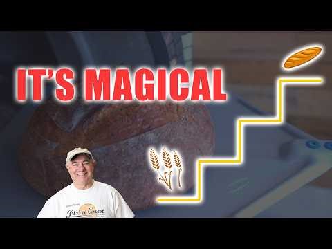 The Stages of Bread Transformation. It's Quite Magical.