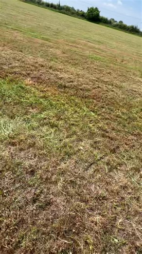 Some grass on a Saturday in the hunny it is then 😍 #johndeere #6155r #fearthedeere #silage #claasjaguar #british #summervibes #flatoutfarming #farktok #agritok #follow #itstartsontiktok