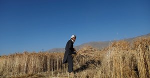 FAO Says Rural Afghanistan In Critical Need For $36 Million In Aid