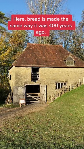 Exploring the Rich History of Bread: A 60 Second Overview