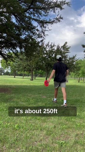 Disc Golf Challenge: Navigating Hole 8 for a Birdie