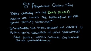 The Eighth Amendment