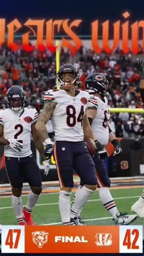 Bengals vs Bears: Game of the YEAR (Dramatic Finish!)