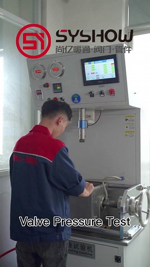 Valve pressure test#valve #brassvalve #factory