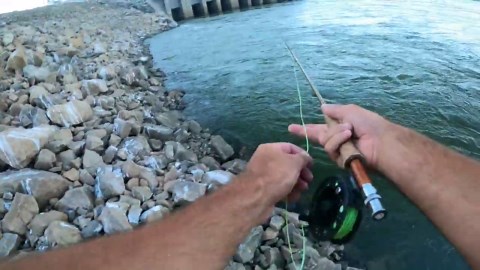 Fly Fishing for Catfish at a Dangerous River Spillway