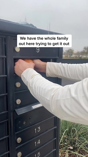 Package Stuck in Mailbox: A Family's Struggle