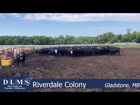 DLMS Direct - Riverdale Colony - Blk