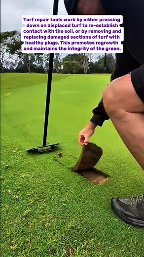Turf Repair Tools: Maintaining Pristine Golf Course Greens